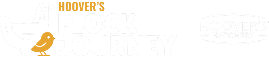 Flock Journey, by Hoover's Hatchery