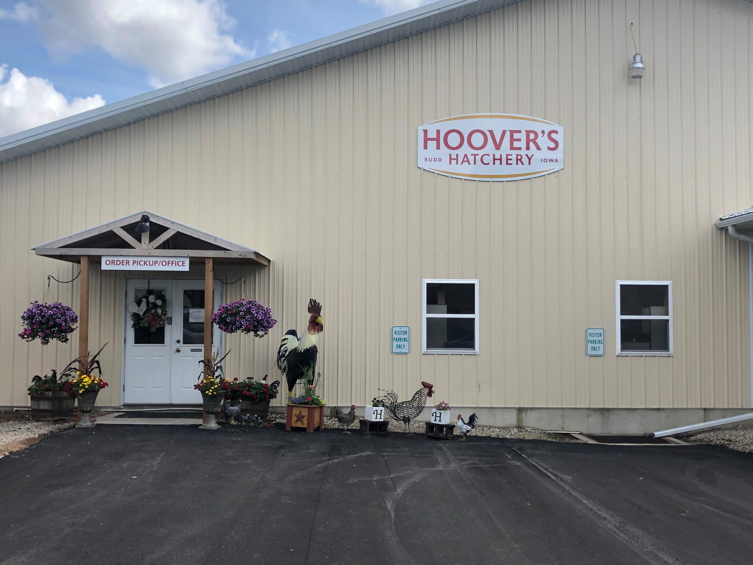 Hoover's Hatchery