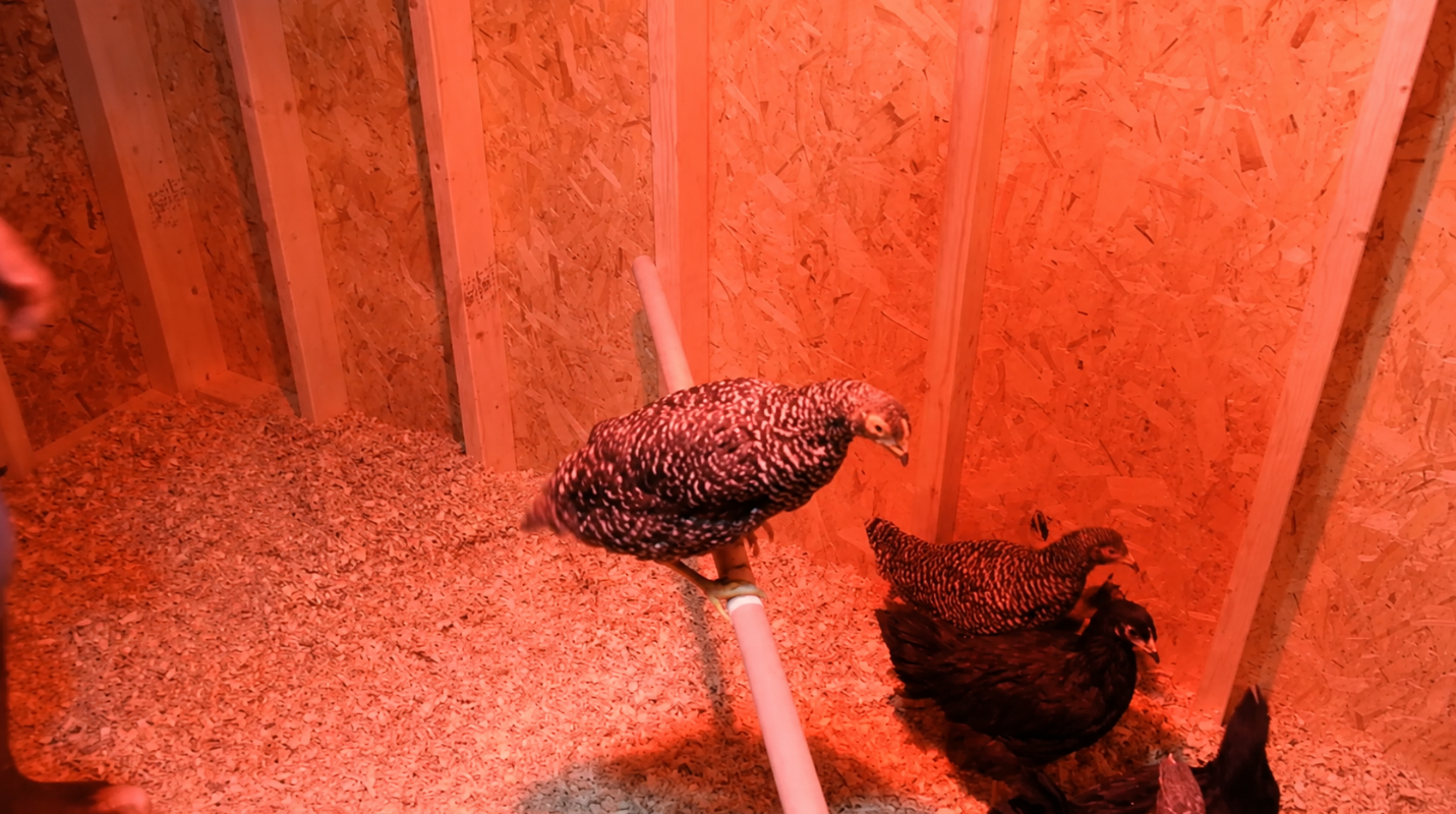 Roosting poles