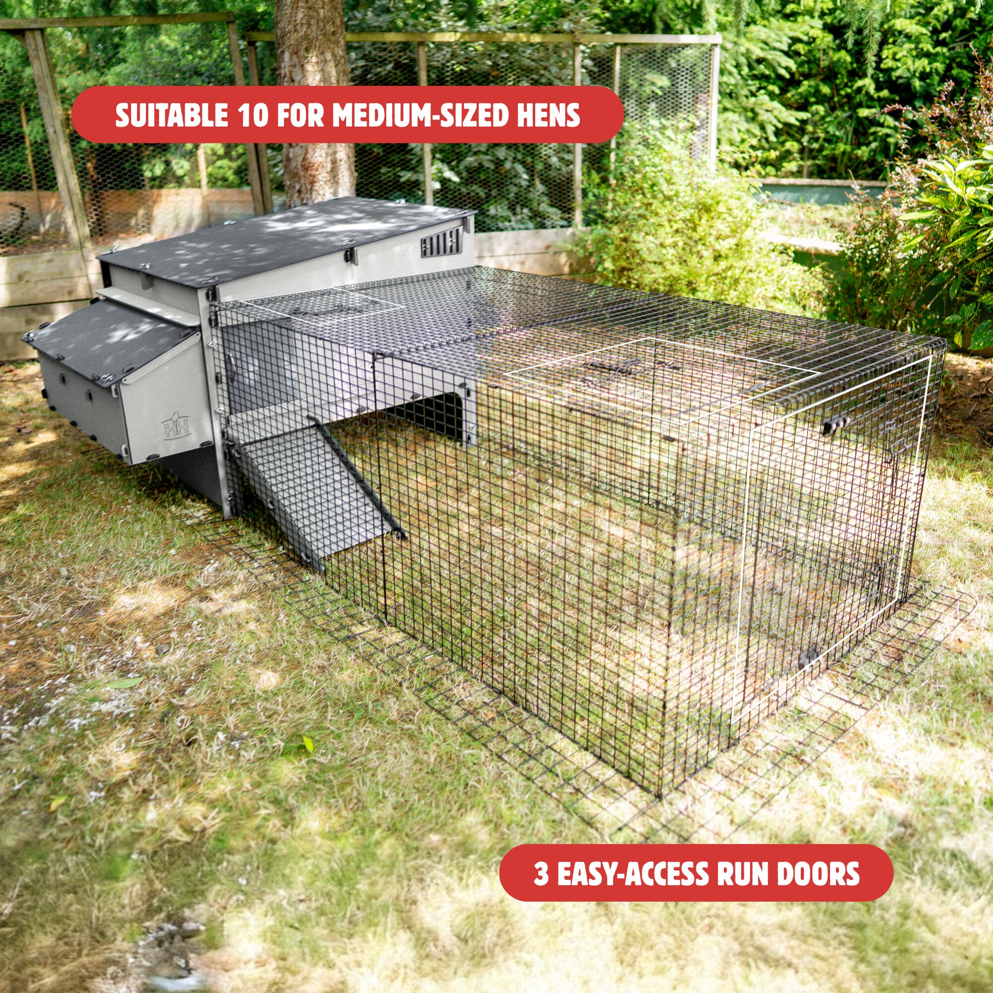 clean and secure chicken coop
