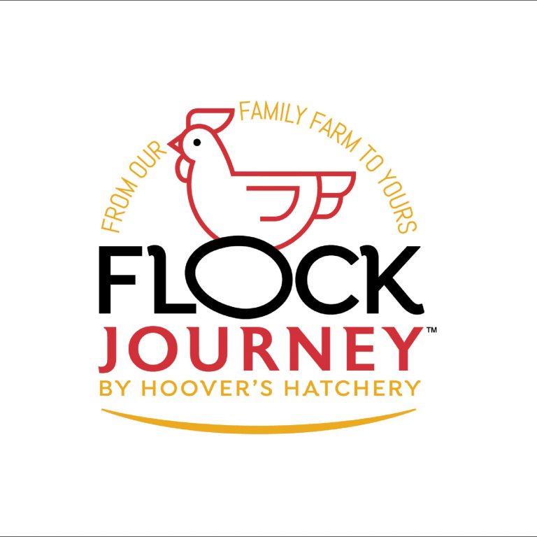 Flock Journey