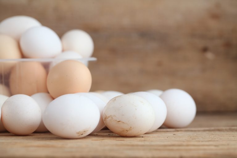 Dating and Refrigerating Eggs- What You Need to Know – Flockjourney