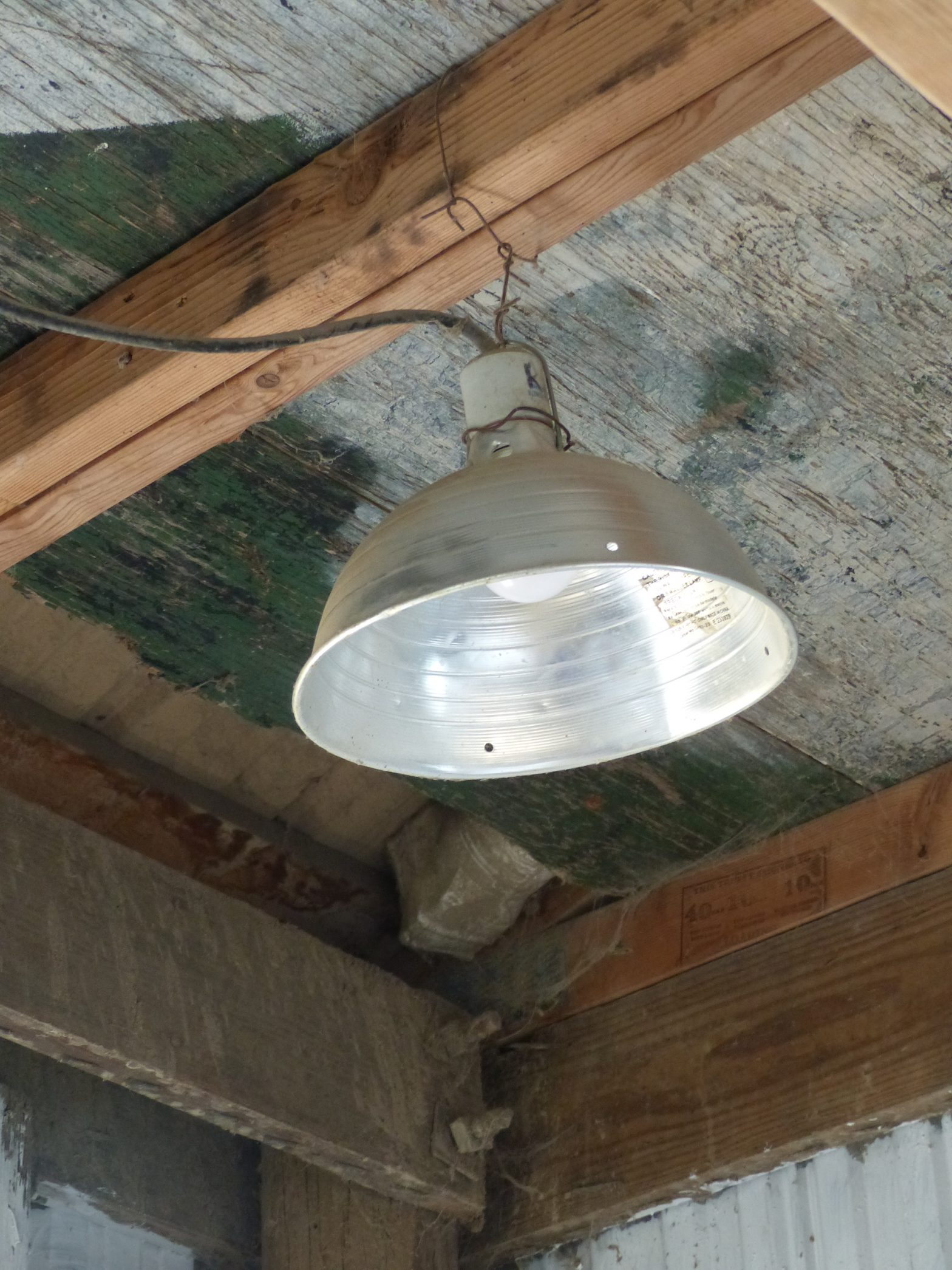 Lights Put More Eggs in the Nest Flockjourney