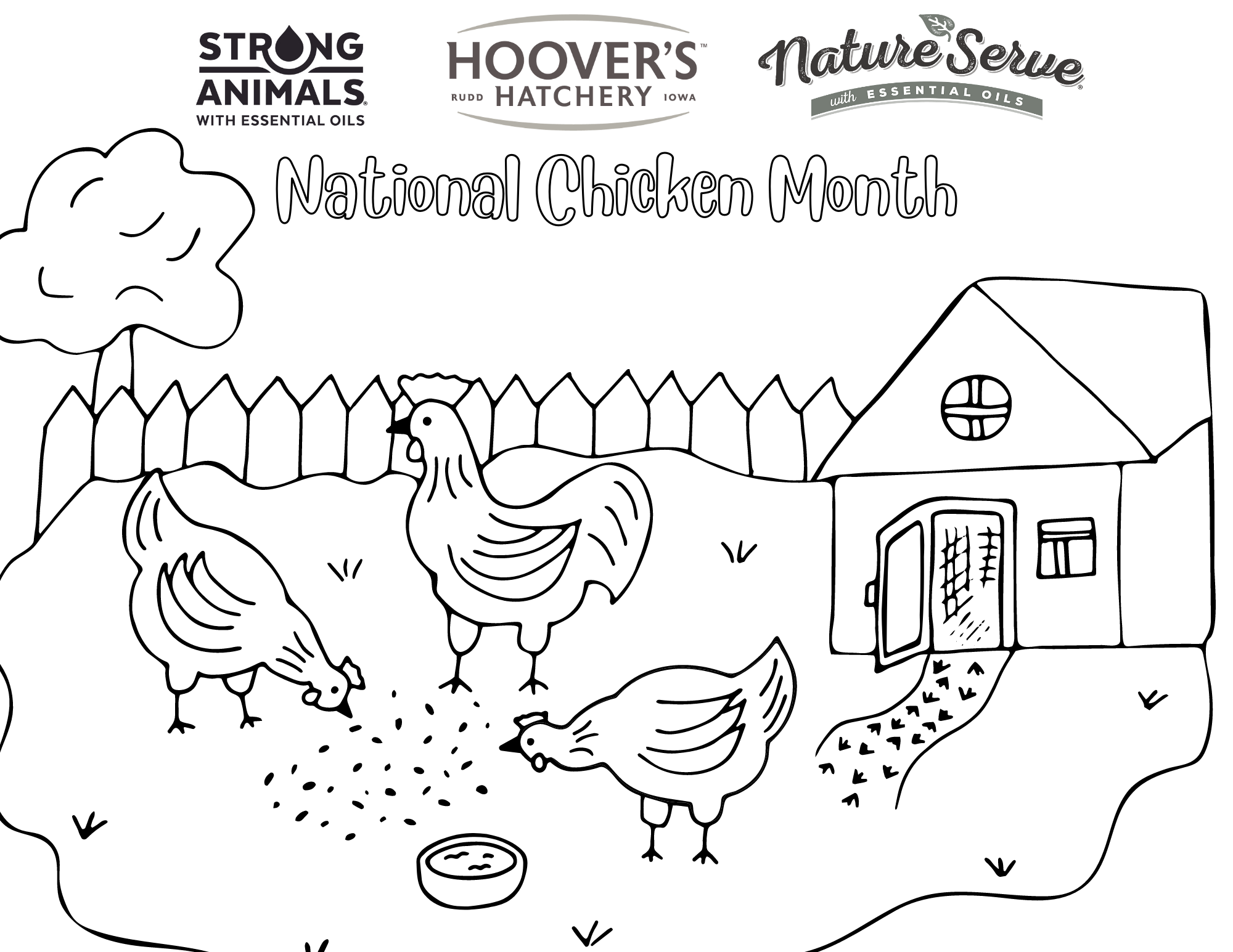 National Chicken Month Coloring Contest – Flockjourney