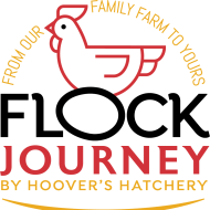 Flockjourney