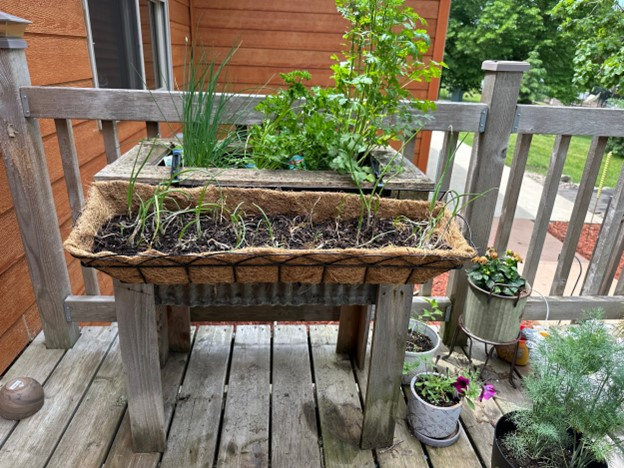 How to Garden In Containers