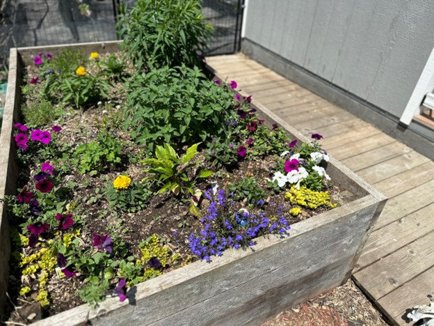How to Garden In Containers